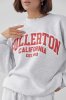 Жіночий спортивний костюм на флісі Fullerton California - 23166 сірий